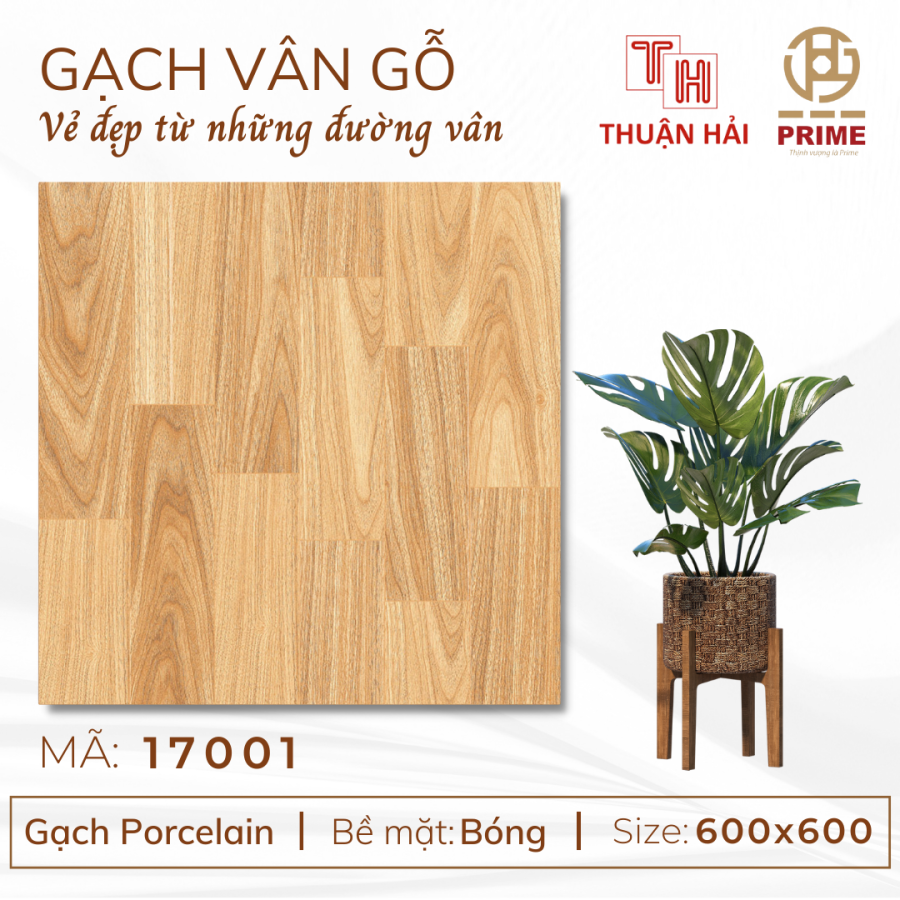 GẠCH GIẢ GỖ 60x60 PRIME 17001