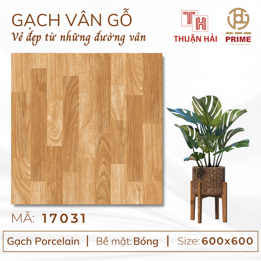GẠCH GIẢ GỖ 60x60 PRIME 17031