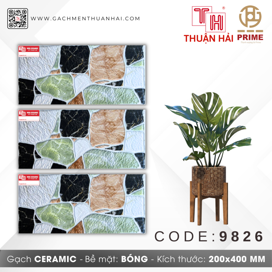GẠCH TRANG TRÍ 20x40 PRIME 9826