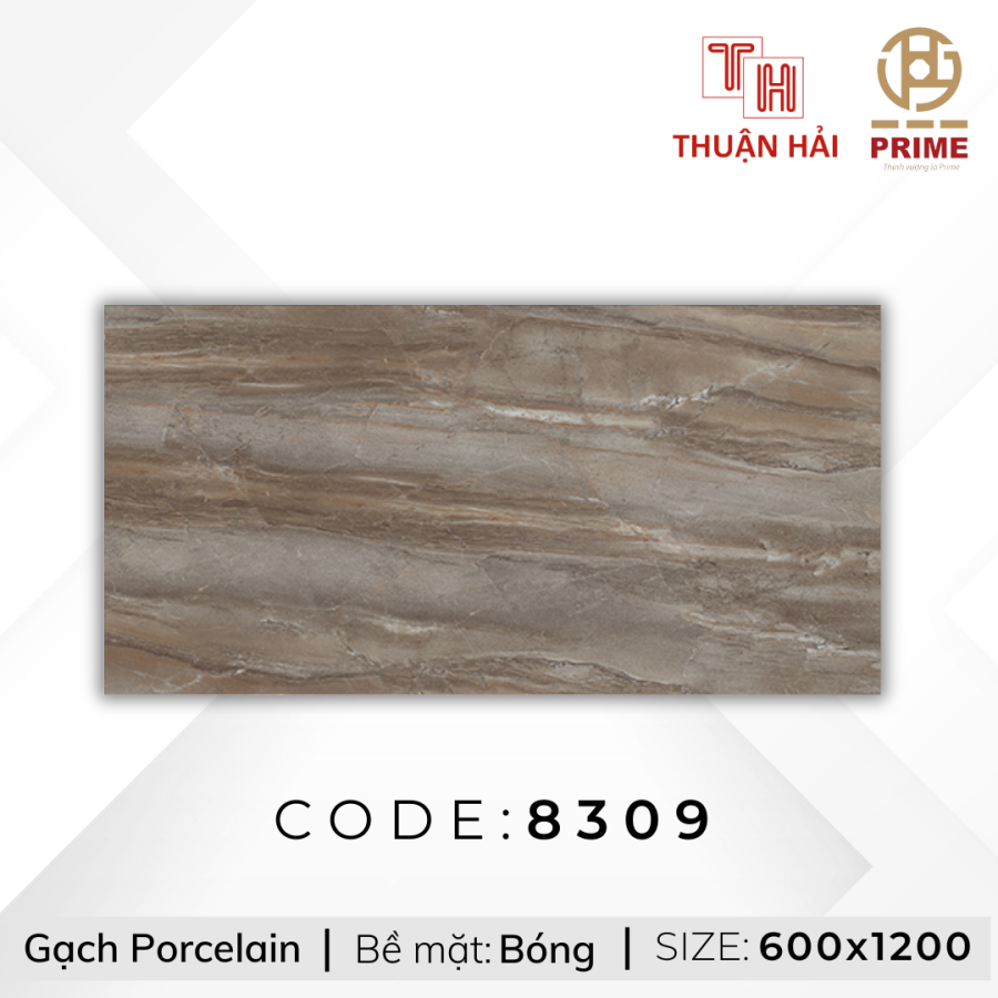 GẠCH CAO CẤP 60x120 PRIME 8309