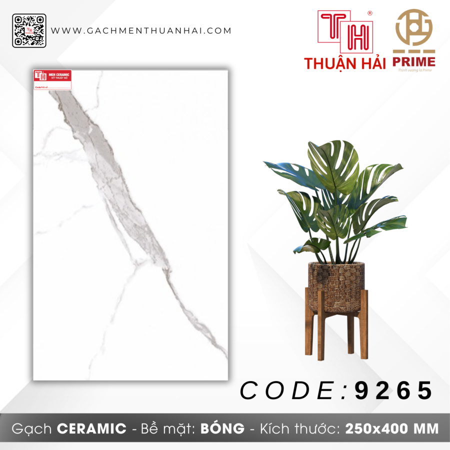 GẠCH TRANG TRÍ 25x40 PRIME 9265