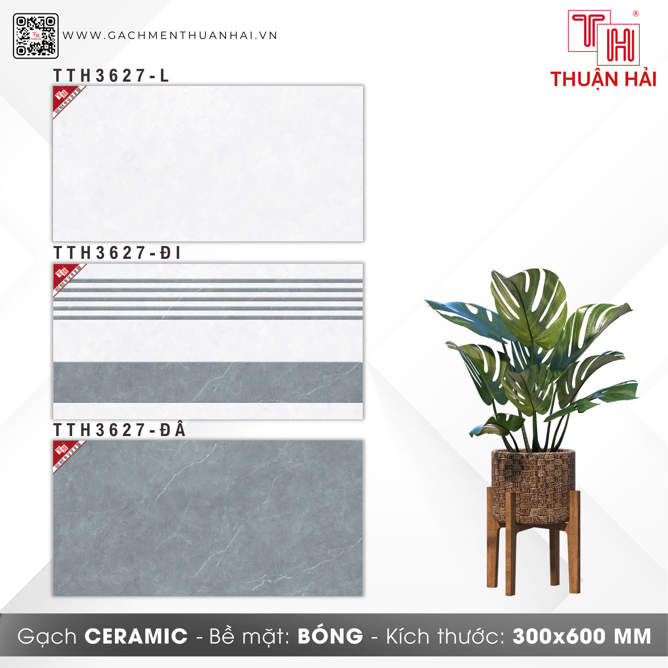 GẠCH ỐP TƯỜNG 30x60 HÀ THANH 3627 L - 3627 ĐI - 3627 ĐÂ